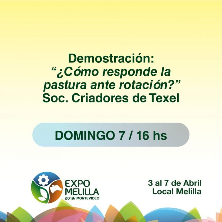 Expo Melilla 2019