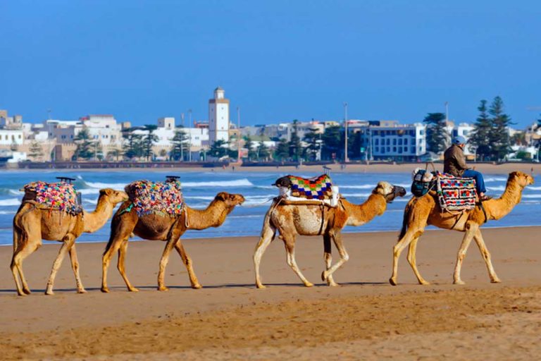 Que Ver En Marruecos Cerca De Melilla